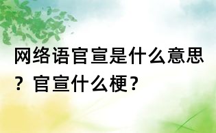 網絡語官宣是什么意思?官宣什么梗?