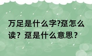 萬足是什么字?躉怎么讀?躉是什么意思?