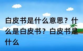 白皮書是什么意思?什么是白皮書?白皮書是什么
