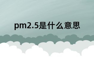 pm2.5是什么意思