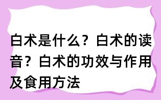 白術(shù)是什么？白術(shù)的讀音？白術(shù)的功效與作用及食用方法	