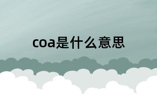 coa是什么意思