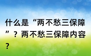 什么是“兩不愁三保障”?兩不愁三保障內容?