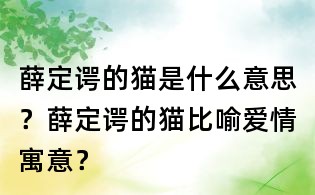 薛定諤的貓是什么意思?薛定諤的貓比喻愛情寓意?