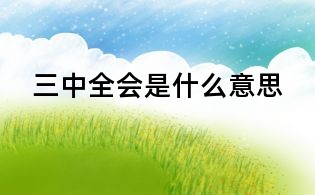 三中全會是什么意思