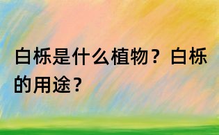 白櫟是什么植物?白櫟的用途?