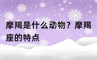 摩羯是什么動物?摩羯座的特點
