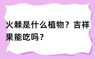 火棘是什么植物？吉祥果能吃嗎？
