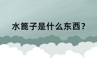 水篦子是什么東西?