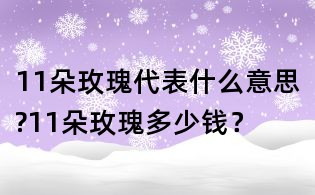 11朵玫瑰代表什么意思?11朵玫瑰多少錢?