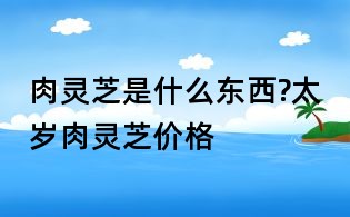 肉靈芝是什么東西?太歲肉靈芝價(jià)格