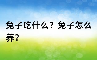 兔子吃什么?兔子怎么養?