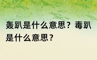 轟趴是什么意思？毒趴是什么意思？
