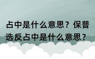 占中是什么意思?保普選反占中是什么意思?