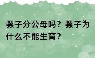 騾子分公母嗎？騾子為什么不能生育？