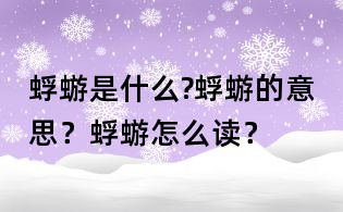 蜉蝣是什么?蜉蝣的意思?蜉蝣怎么讀?