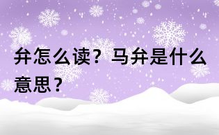 弁怎么讀？馬弁是什么意思？