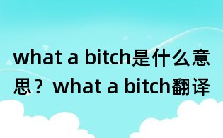what a bitch是什么意思？what a bitch翻譯