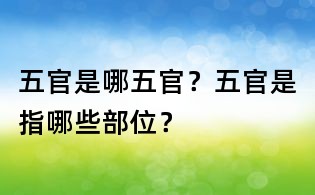 五官是哪五官?五官是指哪些部位?
