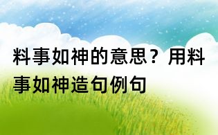料事如神的意思？用料事如神造句例句