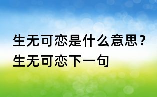 生無可戀是什么意思?生無可戀下一句