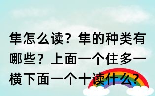 隼怎么讀?隼的種類有哪些?上面一個住多一橫,下面一個十讀什么?