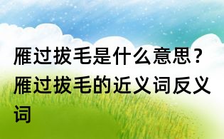 雁過拔毛是什么意思？雁過拔毛的近義詞反義詞