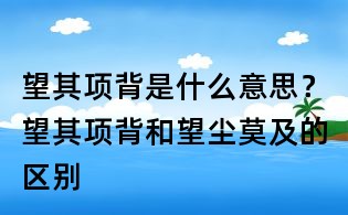 望其項背是什么意思？望其項背和望塵莫及的區別