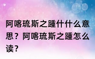 阿喀琉斯之踵什什么意思？阿喀琉斯之踵怎么讀？