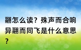 翮怎么讀?殊聲而合響異翮而同飛是什么意思?