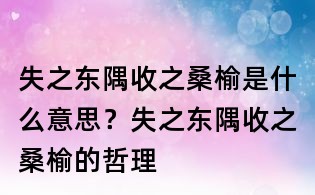 失之東隅收之桑榆是什么意思?失之東隅收之桑榆的哲理