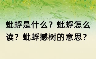 蚍蜉是什么？蚍蜉怎么讀？蚍蜉撼樹的意思？