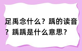 足禹念什么?踽的讀音?踽踽是什么意思?