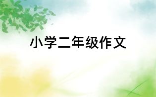 小學(xué)二年級(jí)作文