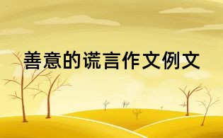 善意的謊言作文例文