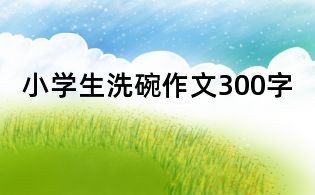 小學生洗碗作文300字