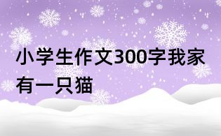 小學生作文300字:我家有一只貓