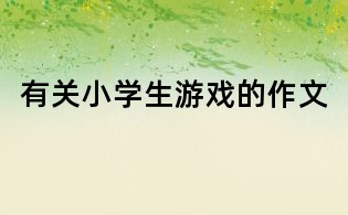 有關小學生游戲的作文