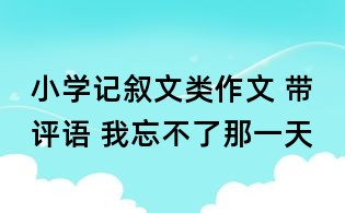 小學記敘文類作文 帶評語 我忘不了那一天