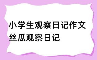 小學(xué)生觀察日記作文 絲瓜觀察日記