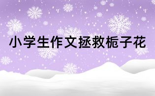 小學生作文拯救梔子花