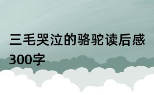 三毛哭泣的駱駝讀后感300字