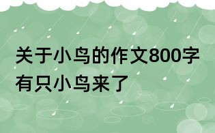 關于小鳥的作文800字:有只小鳥來了