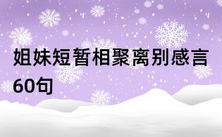 姐妹短暫相聚離別感言60句