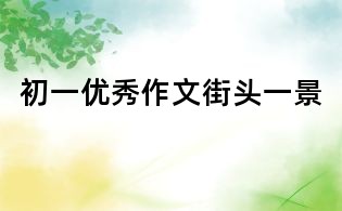 初一優秀作文:街頭一景