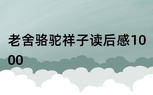 老舍駱駝祥子讀后感1000