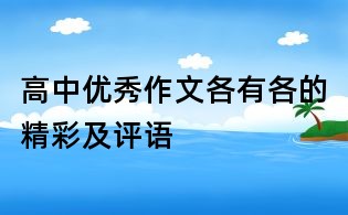 高中優秀作文各有各的精彩及評語