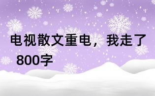 電視散文:重電,我走了 800字