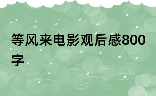 等風(fēng)來電影觀后感800字