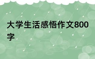 大學生活感悟作文800字